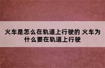 火车是怎么在轨道上行驶的 火车为什么要在轨道上行驶